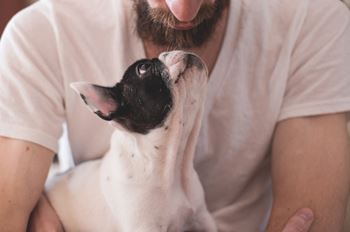 Redstone ranch apartments pet friendly community