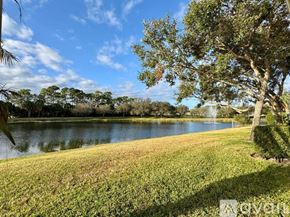 West Palm Beach house for rent - A grassy area with a tree and a body of water in the distance.