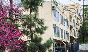 Studio City apartment for rent - A building with a tree with pink flowers in front of it.