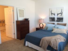 Waynesboro apartment for rent - a bedroom with a bed and a dresser and a closet