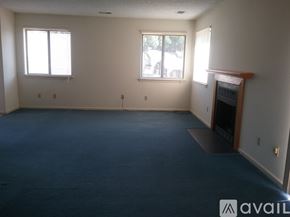 Virginia Beach condo for rent - A spacious room with a fireplace and two windows.
