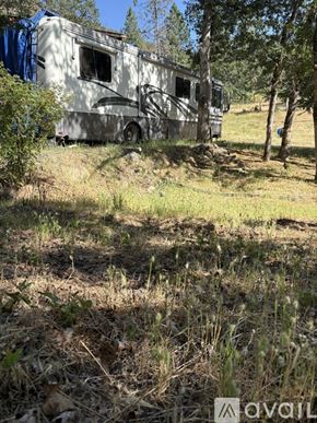 Jacksonville apartment for rent - A silver RV is parked next to a tree in a wooded area.