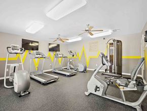 Mandeville apartment for rent - a gym with cardio equipment and weights on the floor
