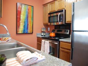 Irving apartment for rent - a kitchen with stainless steel appliances and a sink