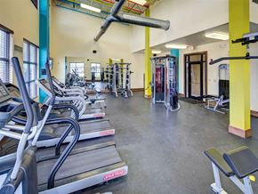 Round Rock apartment for rent - a gym with cardio equipment and weights in a building