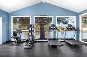 Littleton apartment for rent - A home gym with a treadmill, elliptical trainer, and stationary bike.