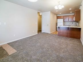 Willison apartment for rent - an empty living room and kitchen with wood cabinets and carpet