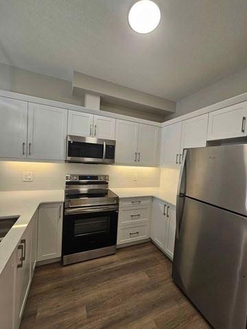 Corunna house for rent - A kitchen with a stainless steel refrigerator and oven.