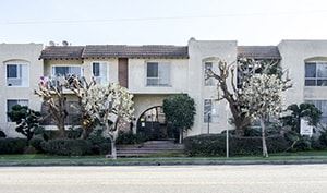 Los Angeles apartment for rent - A white building with a tree in front of it.