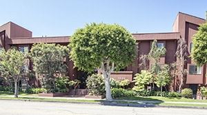 Los Angeles apartment for rent - A tree in front of a building with a red brick wall.