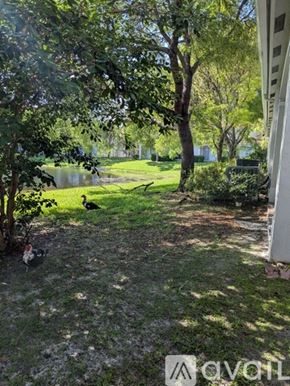 Miramar townhouse for rent - A backyard with a lawn, trees, and a bird on the ground.