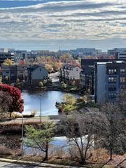 Herndon apartment for rent - A view of a lake surrounded by buildings and trees.