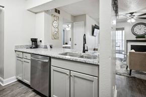 Irving house for rent - A kitchen with a stainless steel dishwasher and white cabinets.