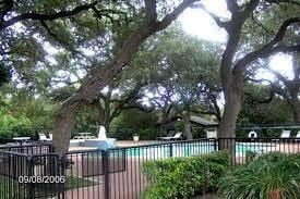 Austin apartment for rent - A tree in a yard with a pool in the background.