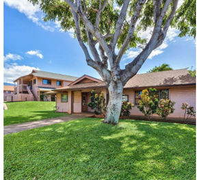 Lahaina apartment for rent - A house with a tree in front of it.