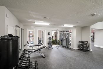 A gym with weights and cardio equipment