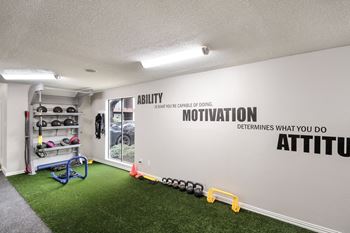 Free weights and cardio equipment