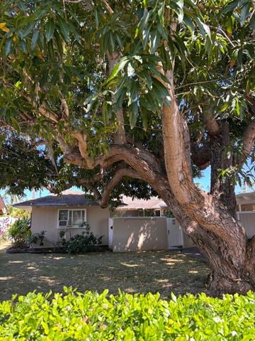 Honolulu house for rent - 4741 Moa Street