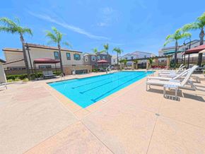 Chino house for rent - A swimming pool surrounded by palm trees and lounge chairs.
