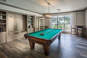 Middle Island apartment for rent - a pool table in a game room with a