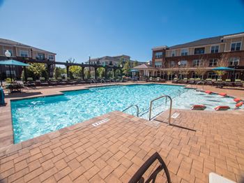 Resort-style saltwater swimming pool with luxurious sun deck and pergolas