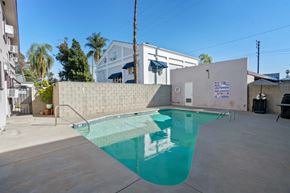 No. Hollywood apartment for rent - A small pool in a backyard with a wall and a tree behind it.