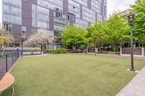Portland apartment for rent - a yard with grass and trees in front of an office building