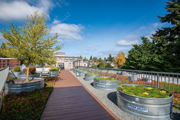 Rooftop deck with outdoor fireplace & bbqs