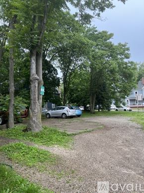 Ypsilanti apartment for rent - A tree-lined street with cars parked on the side.