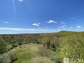West Morris house for rent - A field with trees and a clear blue sky.