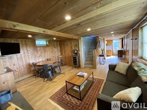 Litchfield house for rent - A living room with wooden walls and a television.