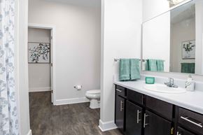 Macon apartment for rent - Bathroom