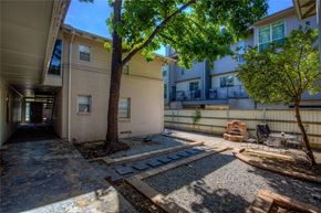 Dallas apartment for rent - A tree in a courtyard of apartment buildings.