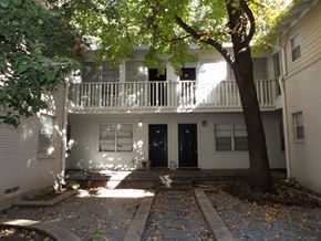 Dallas apartment for rent - A tree in front of a building with a balcony.