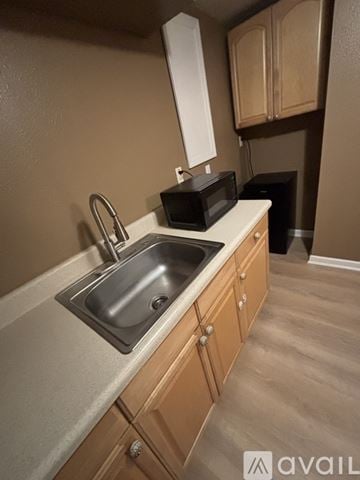 Debary house for rent - A kitchen with a sink and a microwave on the counter.