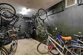 Victoria apartment for rent - A room full of bicycles hanging on hooks.