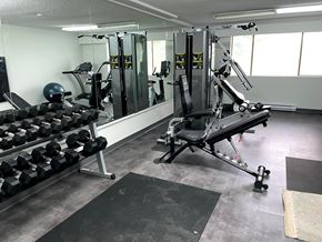 Victoria apartment for rent - A gym with a variety of equipment including a leg press machine, dumbbells, and a bench press.