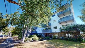Victoria apartment for rent - A modern apartment building with balconies and a tree in the foreground.