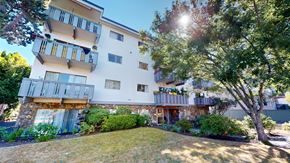 Victoria apartment for rent - A white apartment building with balconies and trees in front.