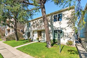 Burbank apartment for rent - A tree stands in front of a white building.