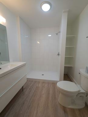 Walsenburg house for rent - A white toilet sits in a bathroom with a walk-in shower.