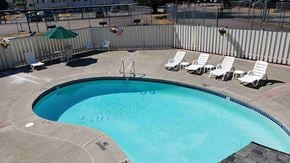 Lacey apartment for rent - A swimming pool surrounded by a metal fence and lounge chairs.