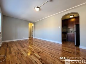 Chicago condo for rent - A kitchen with wooden floors and a stove top oven.