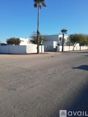 Arizona City apartment for rent - A white building with a palm tree in front of it.