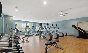 Greenfield apartment for rent - A gym with a variety of equipment including treadmills, stationary bikes, and weight machines.