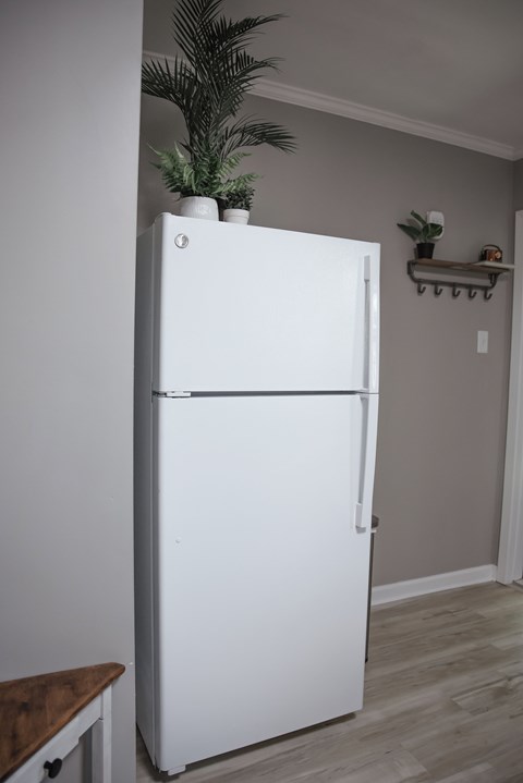 Floor plan for 1 bed, 1 bath