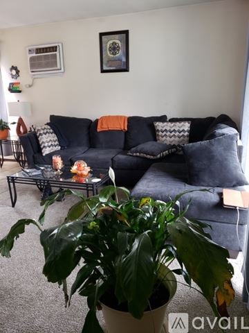 Burnham apartment for rent - A living room with a black couch and a green plant.