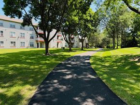 Buffalo Grove apartment for rent - A tree-lined pathway in front of a building.