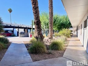 Phoenix apartment for rent - A sunny day at a residential area with palm trees and a clear blue sky.