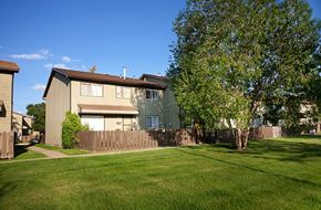 Edmonton apartment for rent - A house with a green tree in front of it.